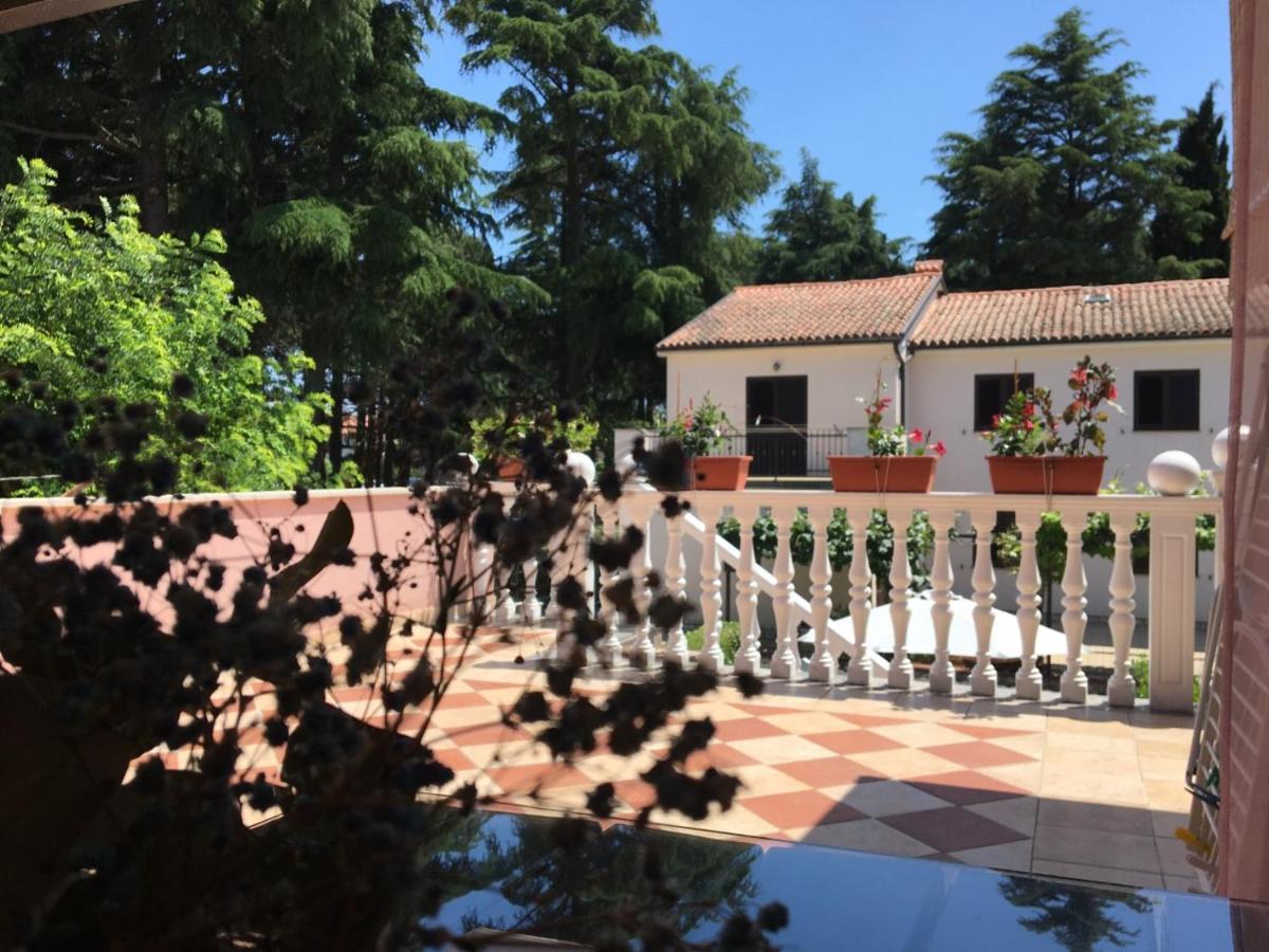 Apartments Tereza Novigrad Istria Exterior foto
